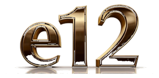e12 logo